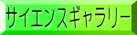 �T�C�G���X�M�������[