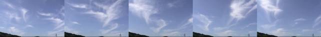 2007061603 60 �я󊪉_.jpg
